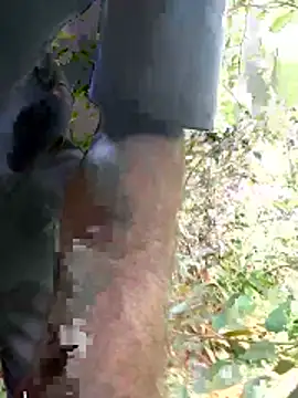 kavi1q1 online show from January 17, 2026, 4:39 am