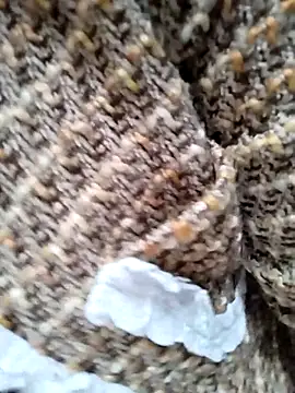 Sinejdk3 online show from January 7, 2026, 12:24 am