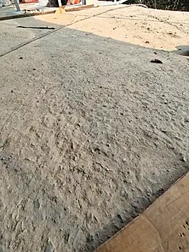 UP16LT5355 online show from November 23, 2025, 7:41 am