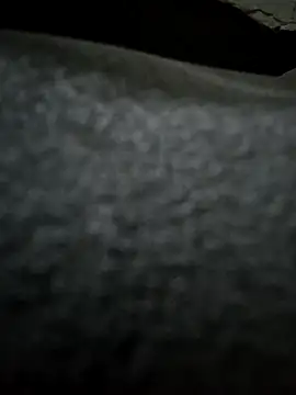 UP16LT5355 online show from November 24, 2025, 8:19 pm