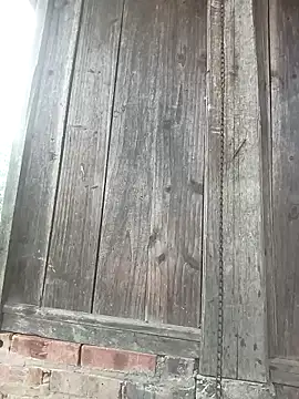 miumiu 00 online show from April 22, 2026, 12:24 am