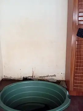 small D94 online show from April 22, 2026, 12:07 pm