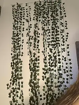 butterfly777  online show from January 11, 2026, 8:41 am