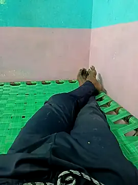 dolphiinn online show from September 23, 2025, 4:48 am