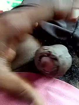 dolphiinn online show from November 4, 2025, 5:28 am