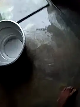 dolphiinn online show from November 28, 2025, 1:08 am