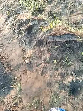 dolphiinn online show from March 6, 2026, 1:35 am