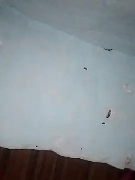 Rakhi j online show from February 1, 2026, 2:21 am