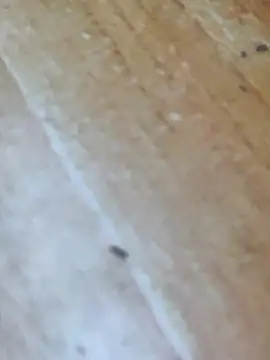 Snapshot of Markroco696 chatting on October 16, 2025, 4:24 am Markroco696 online show from October 16, 2025, 4:24 am