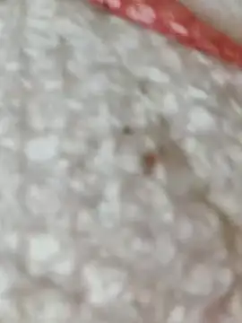 Snapshot of Markroco696 chatting on November 15, 2025, 5:38 am Markroco696 online show from November 15, 2025, 5:38 am