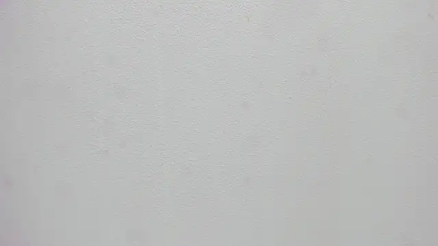 scarlett646 online show from January 8, 2026, 3:09 am