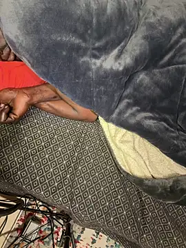 Vikehim online show from April 1, 2026, 1:41 pm