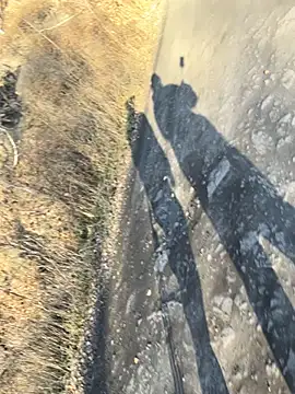 desiredude9 online show from October 28, 2025, 8:40 am