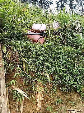 Ngocmi909 online show from March 19, 2026, 1:42 am