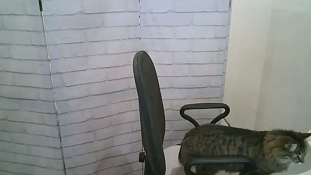 Helen xi  online show from January 13, 2026, 5:24 am