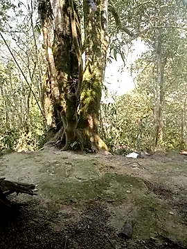 rubi bae online show from April 7, 2026, 2:45 am