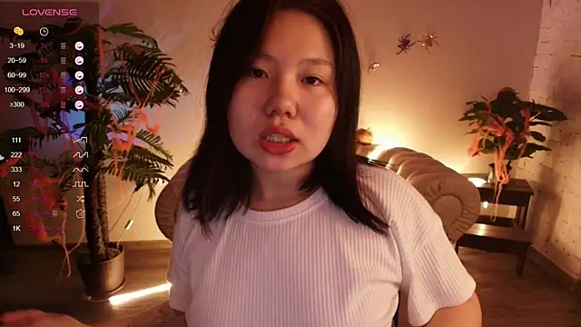 Moana light online show from October 25, 2025, 2:30 am