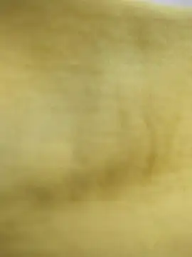 EllaMay22 online show from September 16, 2025, 1:50 am