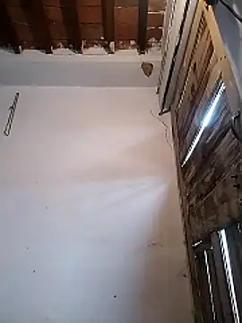 PunjabiSardarBull online show from March 19, 2026, 4:38 am