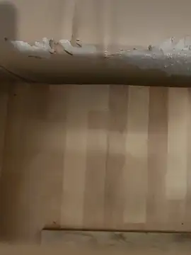 DarkNova9 online show from October 17, 2025, 3:42 am