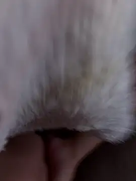 Snapshot of erokami36 chatting on February 5, 2026, 6:07 am erokami36 online show from February 5, 2026, 6:07 am