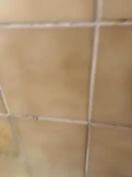 escobryuf online show from January 9, 2026, 12:30 pm