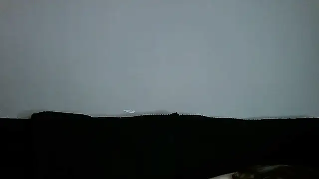   Leyla   online show from November 19, 2025, 8:42 pm