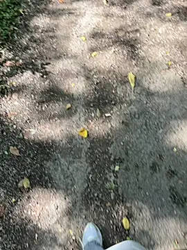 Snapshot of amo660 chatting on September 20, 2025, 10:05 am amo660 online show from September 20, 2025, 10:05 am