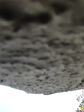 AnanyaKapoor89 online show from November 9, 2025, 2:43 am