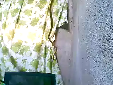 Snapshot of Sweeetgurll chatting on November 5, 2025, 1:27 am Sweeetgurll online show from November 5, 2025, 1:27 am