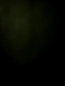 safadomoreno online show from November 23, 2025, 11:04 pm