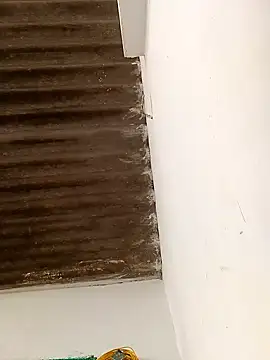 Sapna9685 online show from November 15, 2025, 9:06 am