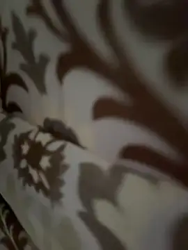 tran my online show from November 12, 2025, 5:08 am