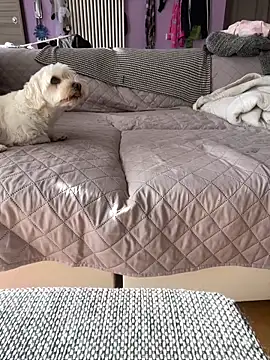 bananasex204 online show from October 25, 2025, 12:02 pm