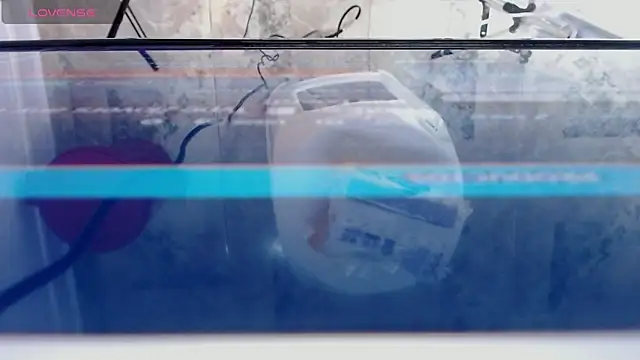 andrealopezcm101 online show from December 15, 2025, 12:15 am