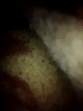 gostoso delas 2 online show from November 21, 2025, 2:10 am