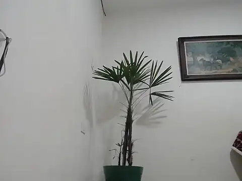 Young handsome online show from September 11, 2025, 1:28 am