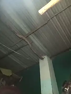 Snapshot of Hot-honi chatting on September 19, 2025, 1:45 pm Hot-honi online show from September 19, 2025, 1:45 pm