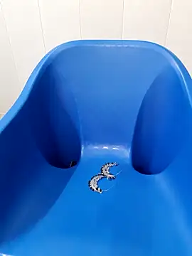 siya rani67 online show from September 14, 2025, 3:38 am