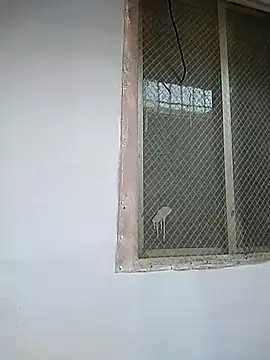 7incpink online show from December 2, 2025, 4:18 am