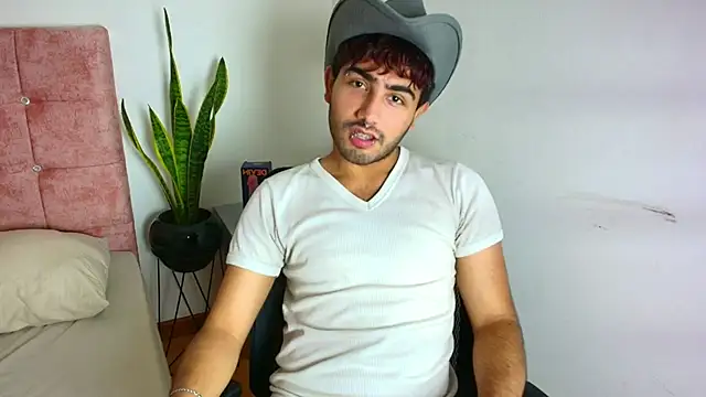 Ares Alpha online show from November 20, 2025, 6:18 pm