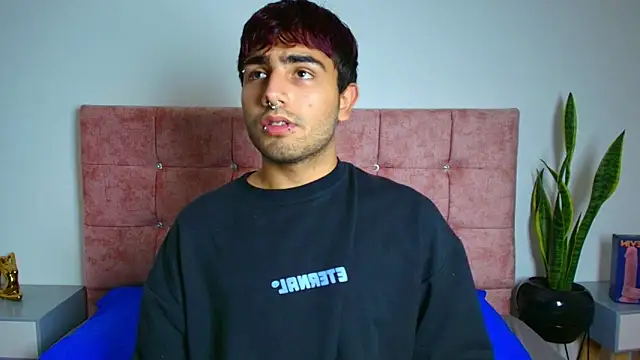 Ares Alpha online show from November 24, 2025, 7:24 pm