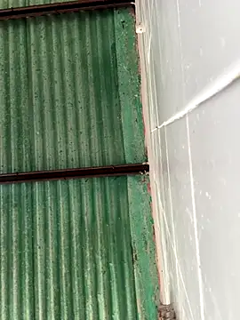 Snapshot of Isabella-2709 chatting on October 25, 2025, 6:13 pm Isabella-2709 online show from October 25, 2025, 6:13 pm