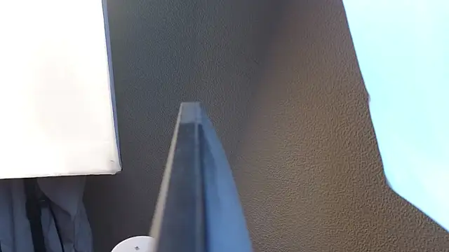 Vina Vision online show from November 30, 2025, 11:58 am