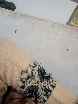 Payal950 online show from December 3, 2025, 3:43 pm