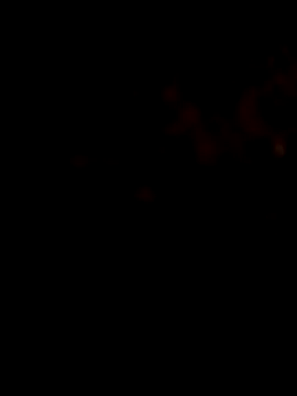 Payal950 online show from January 31, 2026, 9:35 pm