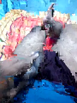 Snapshot of Hyd-bad-boy-25 chatting on September 27, 2025, 5:56 am Hyd-bad-boy-25 online show from September 27, 2025, 5:56 am