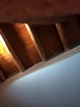 Rodriexequiel online show from November 15, 2025, 2:13 pm