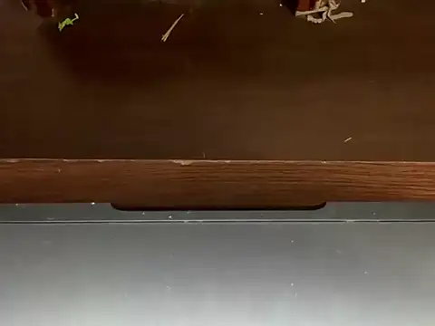 LustyDuoSecrets online show from April 21, 2026, 4:45 pm