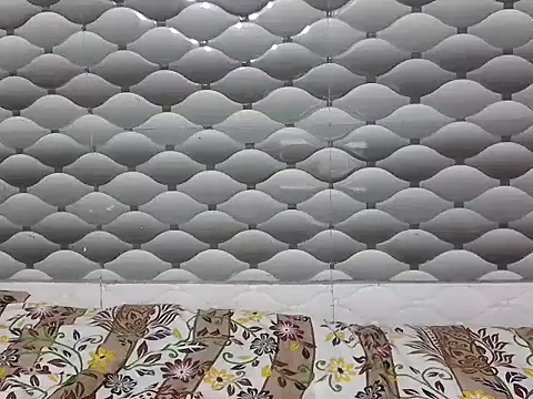 Jashika sharma online show from February 11, 2026, 10:31 am